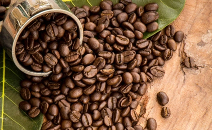 Káva v zrnách